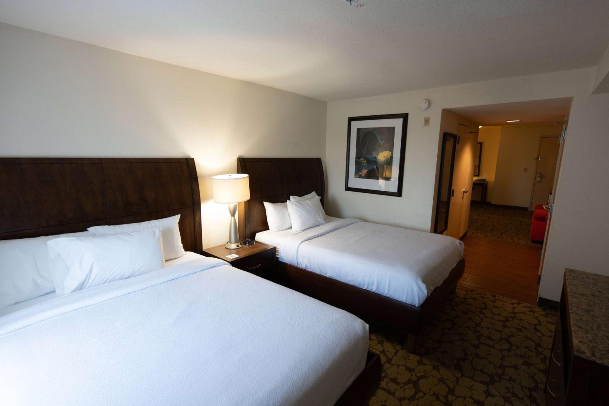 Отель Wyndham Garden New Orleans Airport Кеннер Экстерьер фото